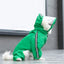 Frog-med Dog Raincoat