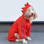 Dragon-med Dog Raincoat