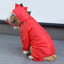 Dragon-med Dog Raincoat