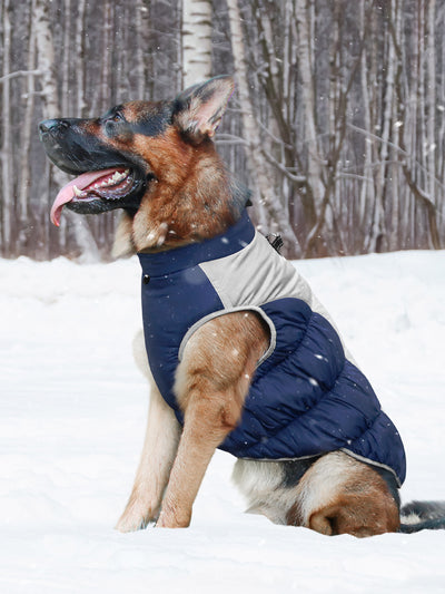 Winter Dog Jacket