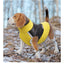 Waterproof Dog Vest
