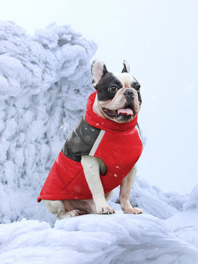 Waterproof Dog Vest