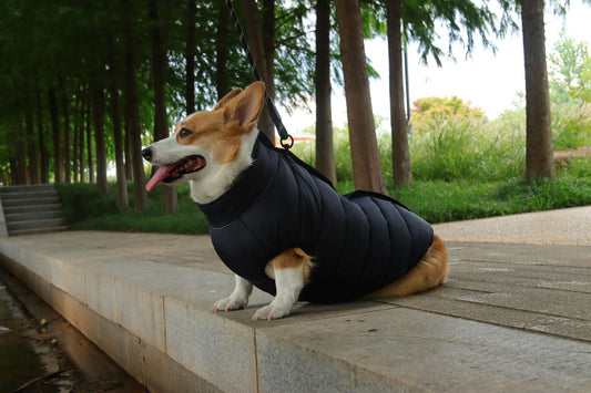 The Reversible Puffer Dog Vest
