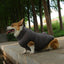 Reversible Puffer Dog Vest