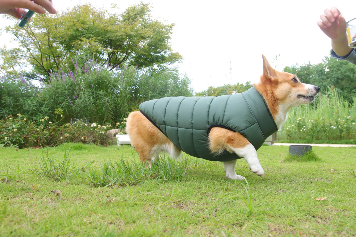 Reversible Puffer Dog Vest