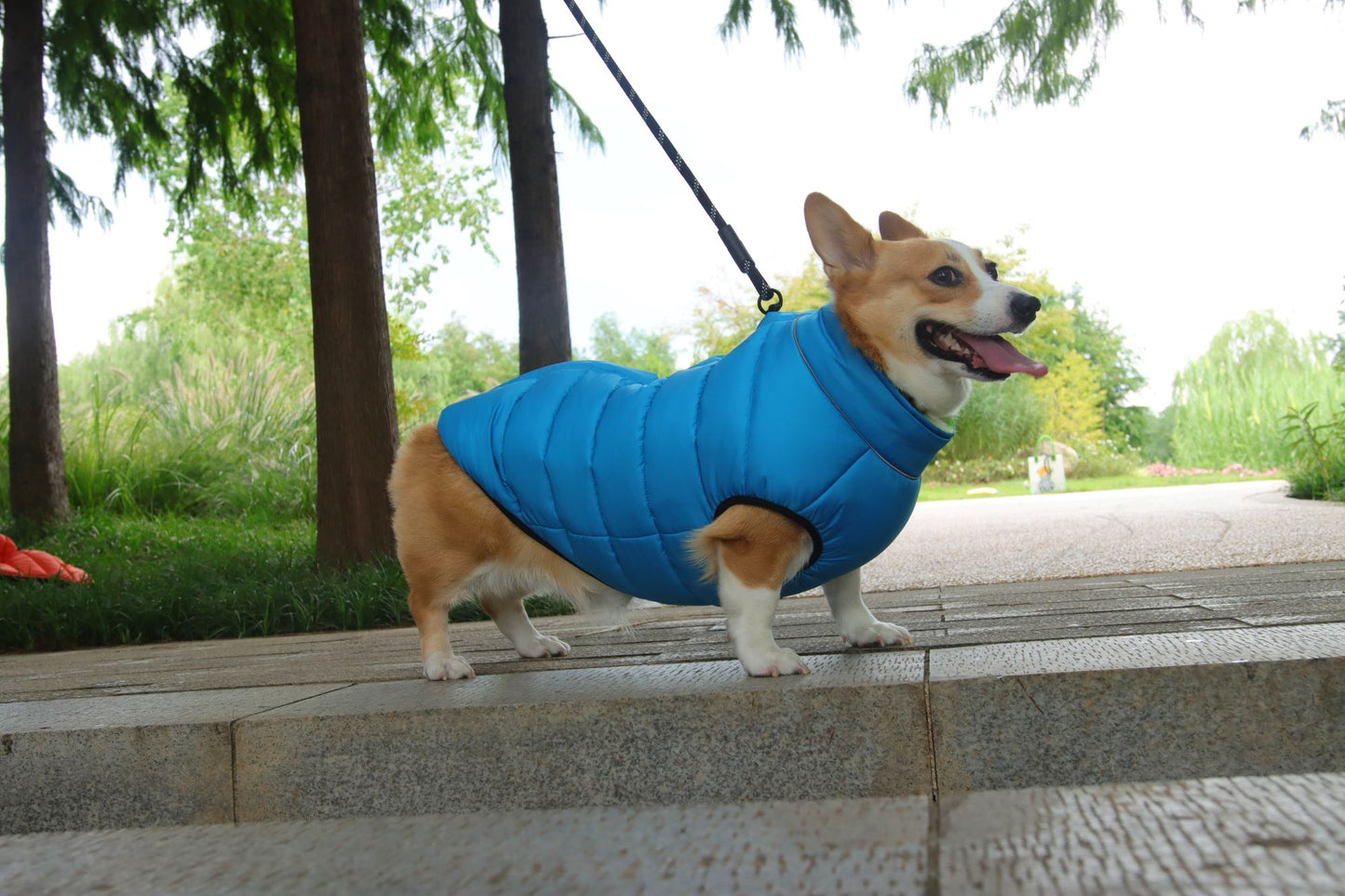 Reversible Puffer Dog Vest