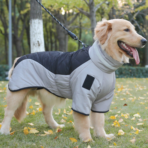 Dog Winter Jacket