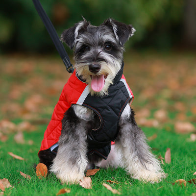 Reversible Quilted Dog Jacket