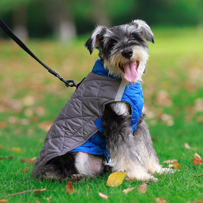 Reversible Quilted Dog Jacket