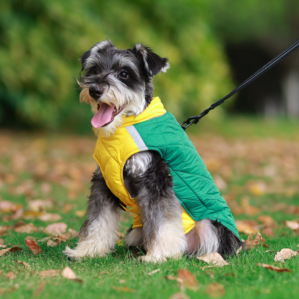 Reversible Quilted Dog Jacket