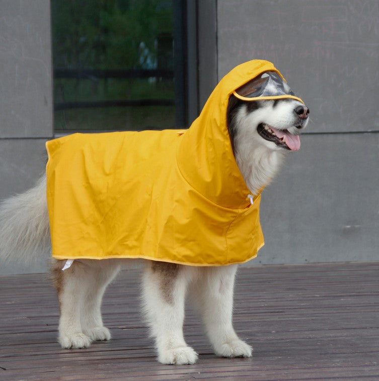 Dog Poncho