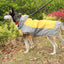 Two-Tone Waterproof Dog Raincoat