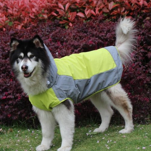 Two-Tone Waterproof Dog Raincoat