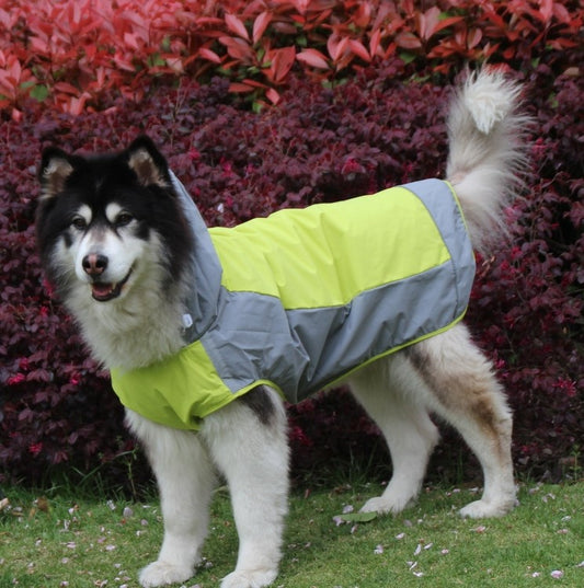 The Two-Tone Waterproof Dog Raincoat