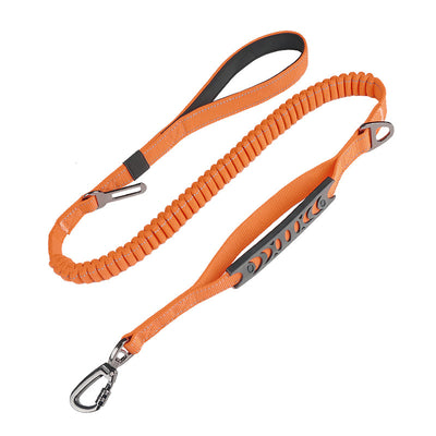 Bungee Control Dog Leash