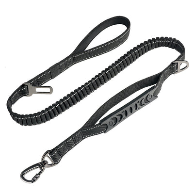 Bungee Control Dog Leash