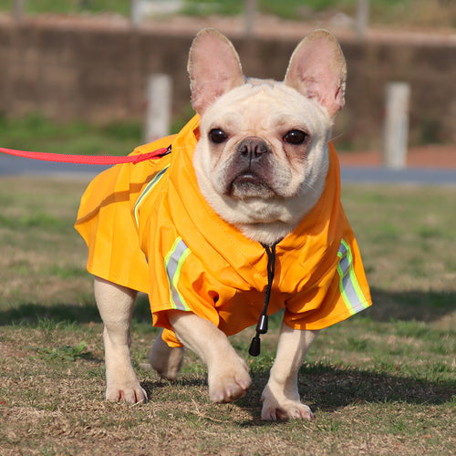 Classic Waterproof Dog Raincoat