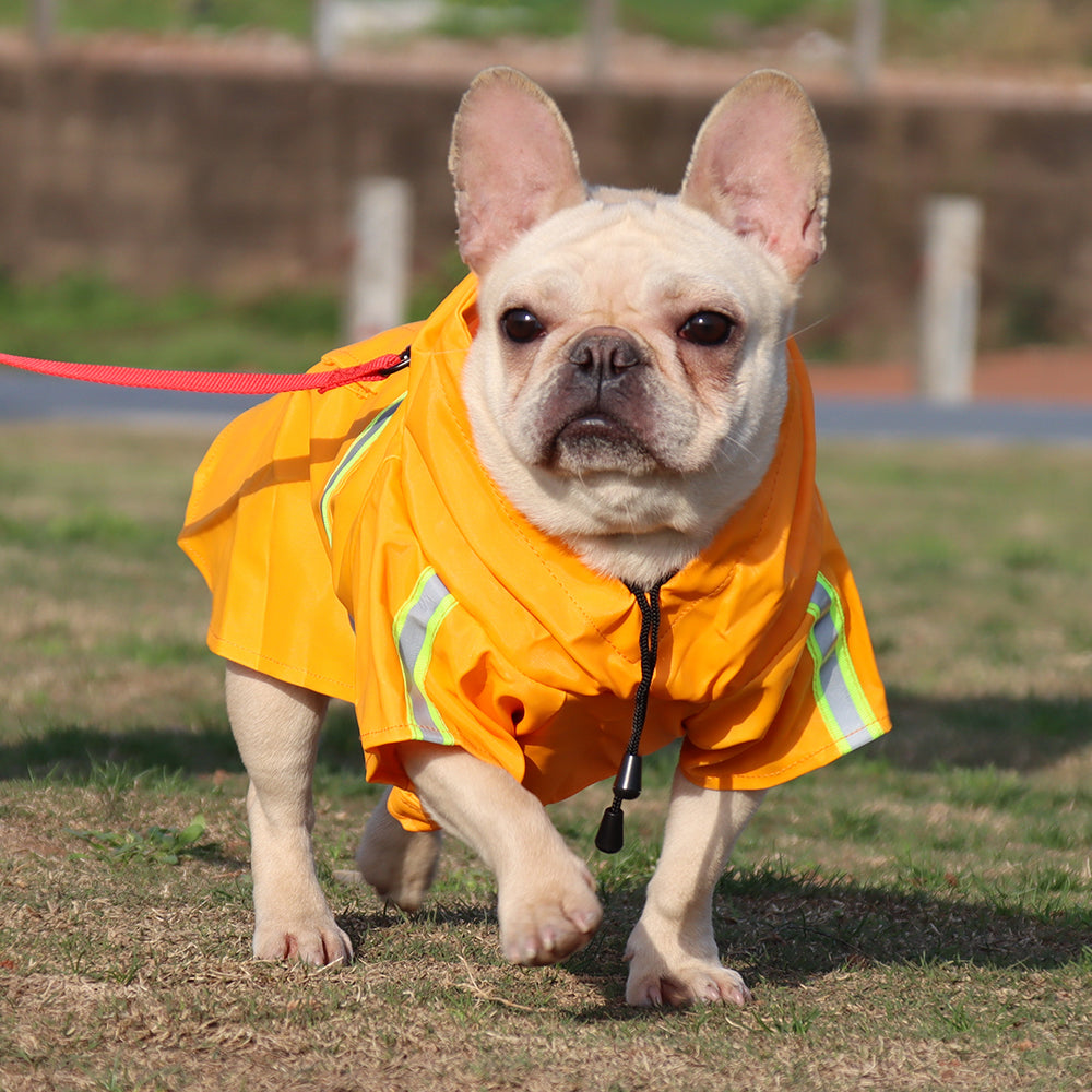 The Classic Waterproof Dog Raincoat