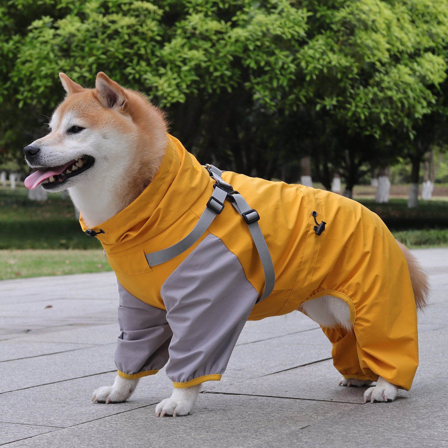 Waterproof Hooded Dog Raincoat