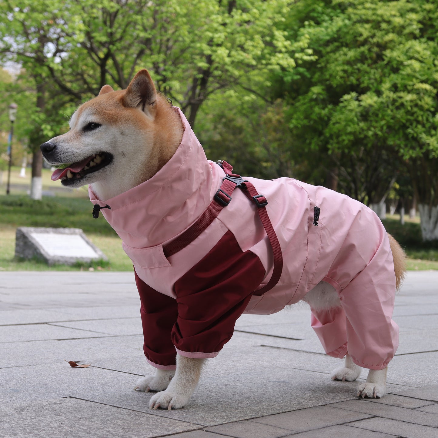 Waterproof Hooded Dog Raincoat