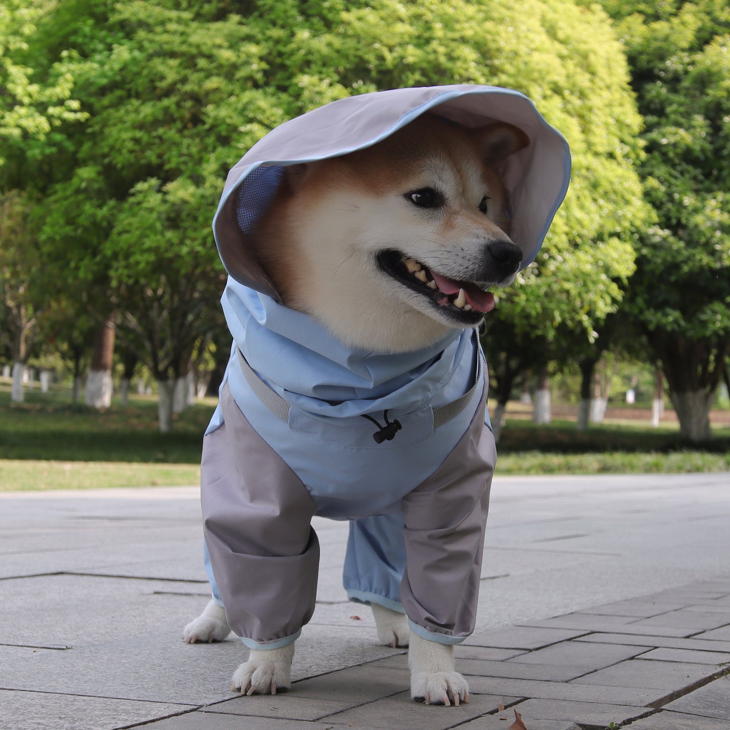 Waterproof Hooded Dog Raincoat