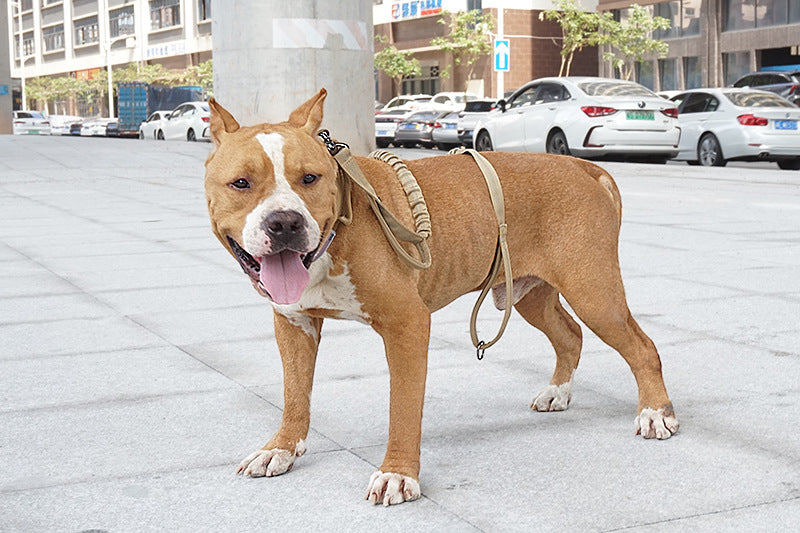 Tactical Bungee Dog Leash
