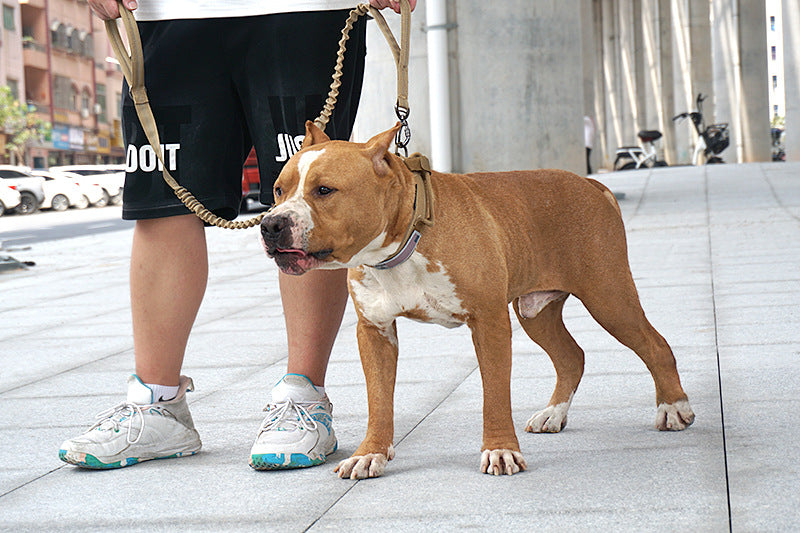 Tactical Bungee Dog Leash