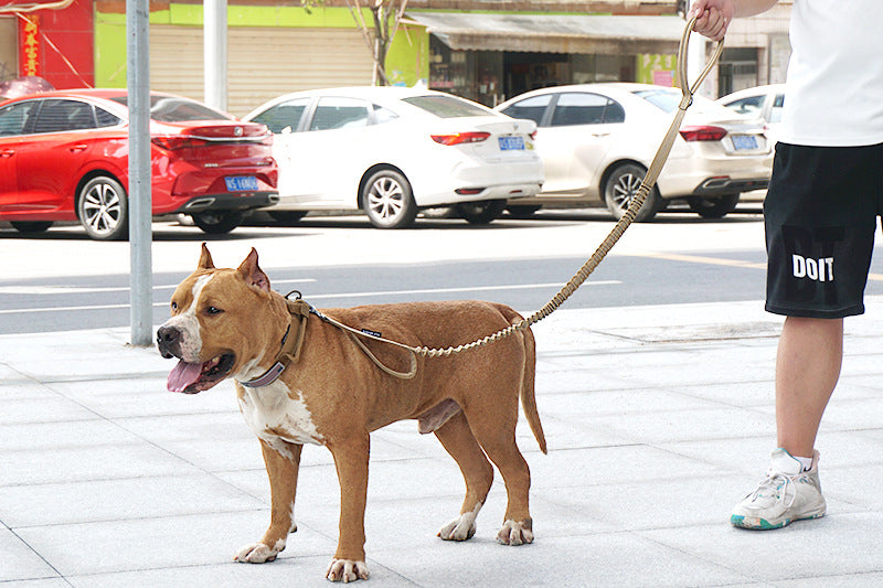 Tactical Bungee Dog Leash