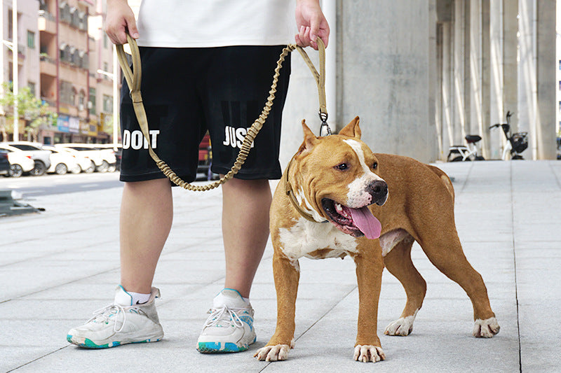 Tactical Bungee Dog Leash