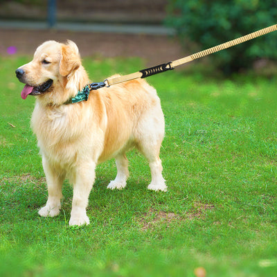 Tactical Dog Leash with Quick Release & Shock Absorption