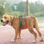 Reflective Rope Dog Leash with Soft Padded Handle