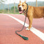 Reflective Rope Dog Leash with Soft Padded Handle