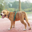 Reflective Rope Dog Leash with Soft Padded Handle