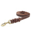 Braided Leather Dog Leash