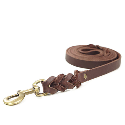 Braided Leather Dog Leash