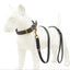 Braided Leather Dog Leash