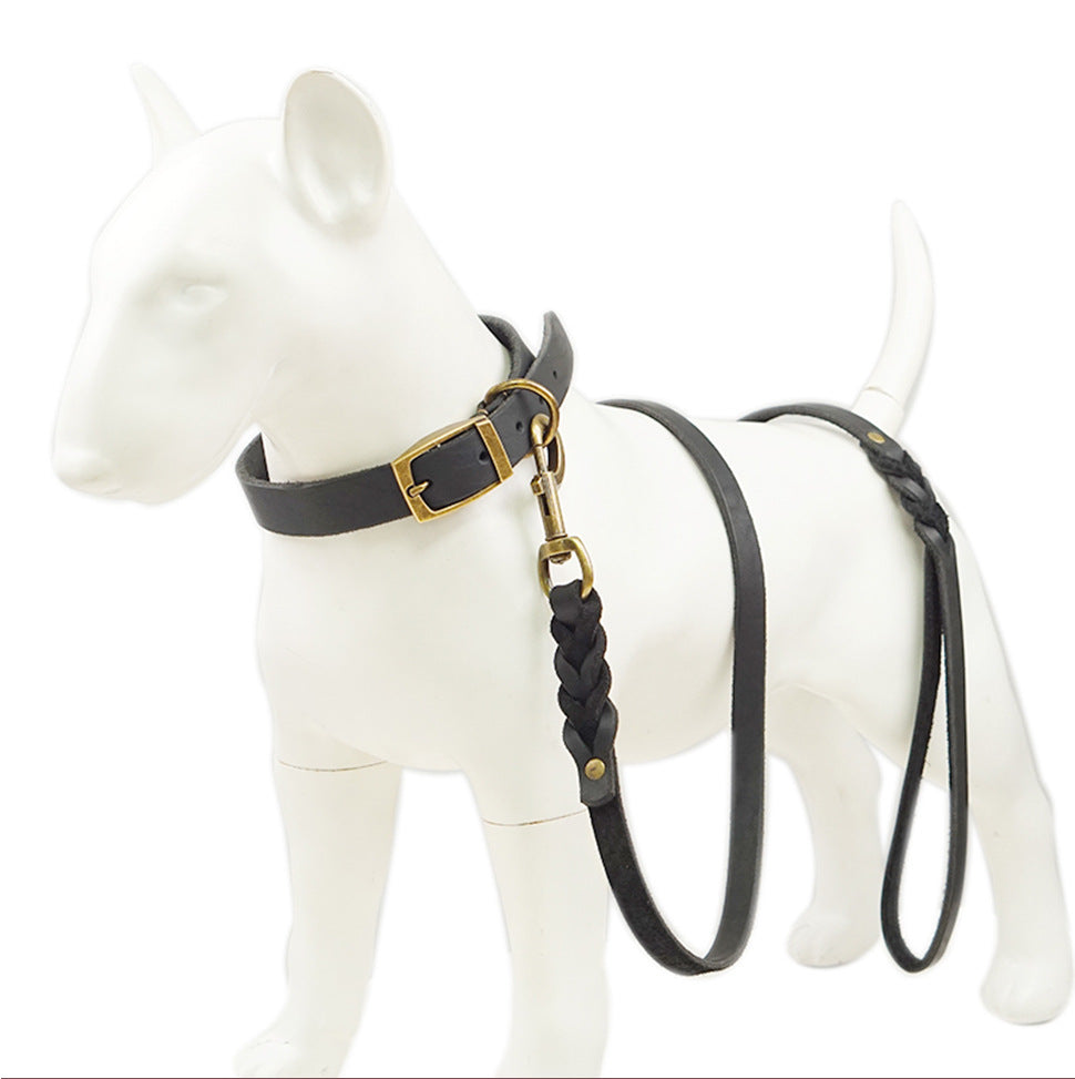 Braided Leather Dog Leash