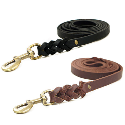 Braided Leather Dog Leash