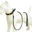 Genuine Leather Dog Leash
