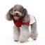 Rudolph's Cozy Dog Sweater