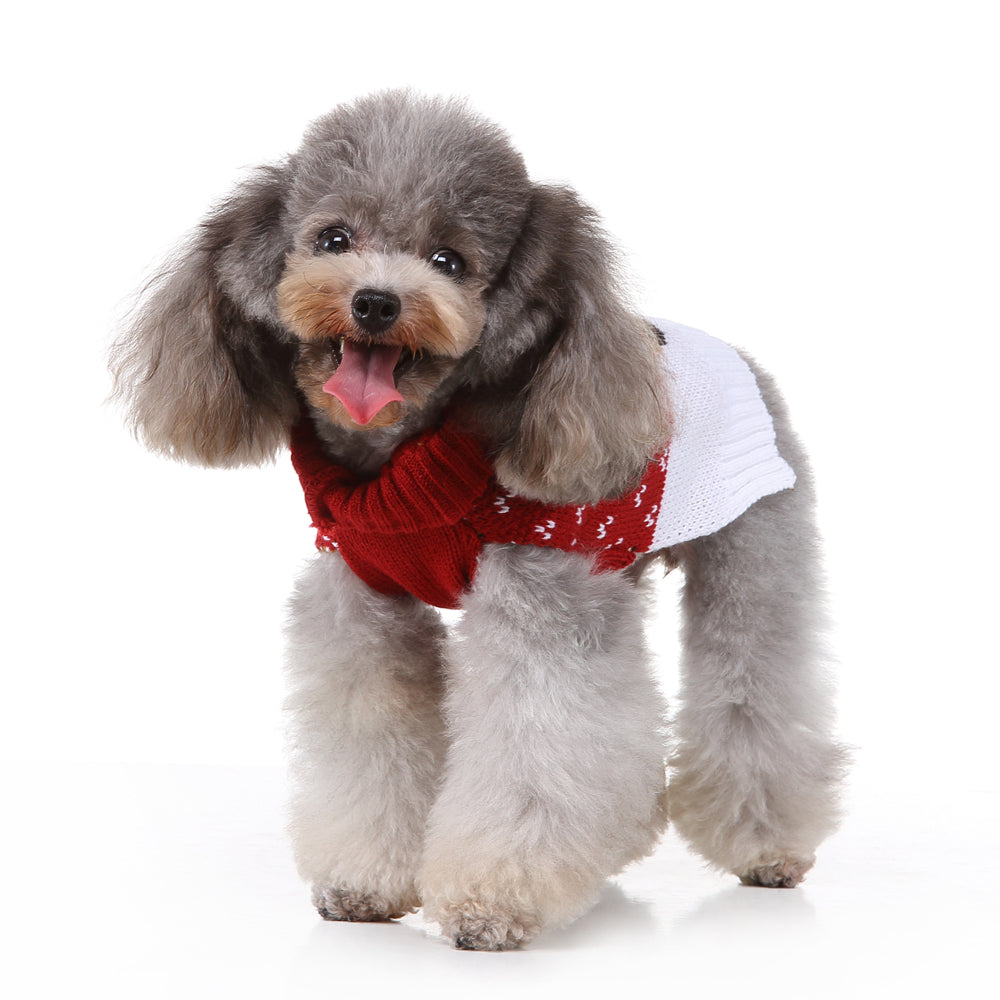 The Rudolph's Cozy Dog Sweater
