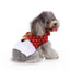 Rudolph's Cozy Dog Sweater