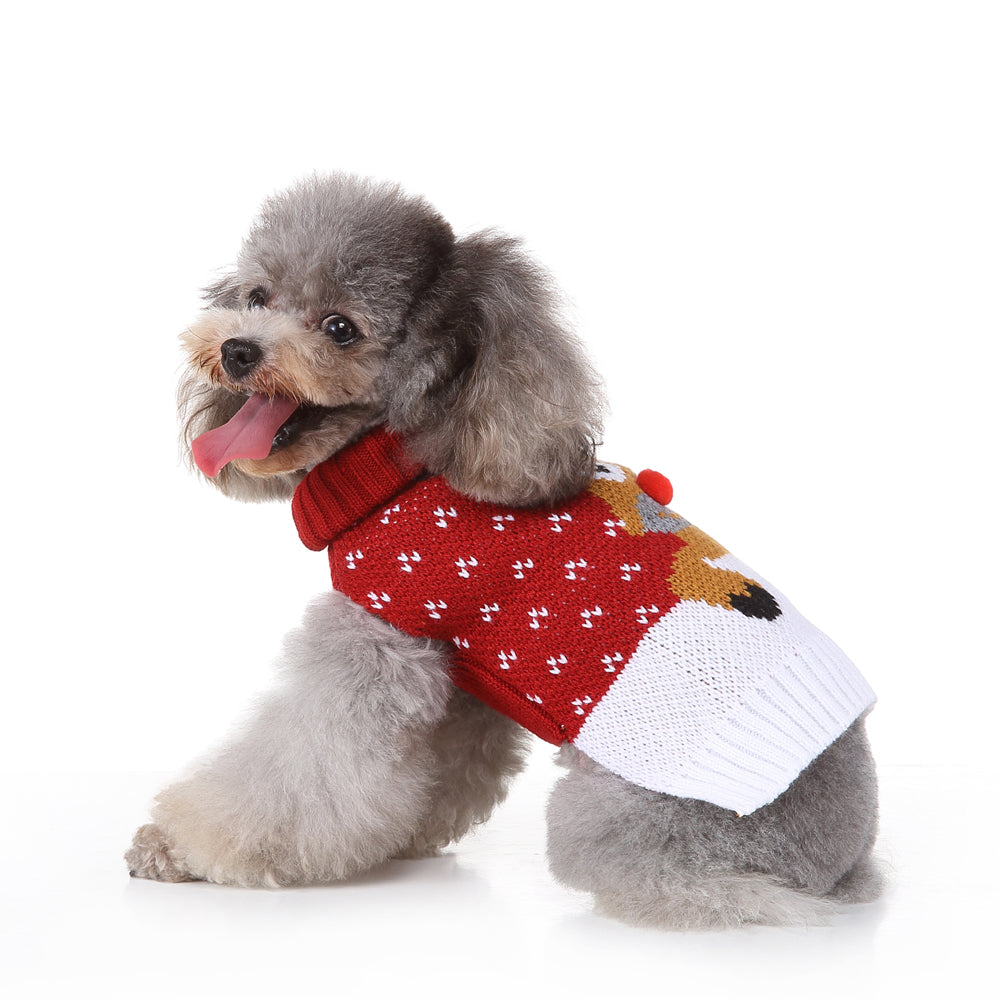The Rudolph's Cozy Dog Sweater