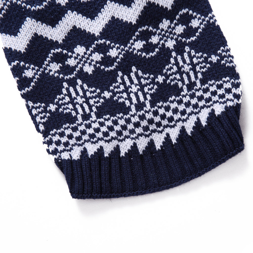 Winter Waves Dog Sweater