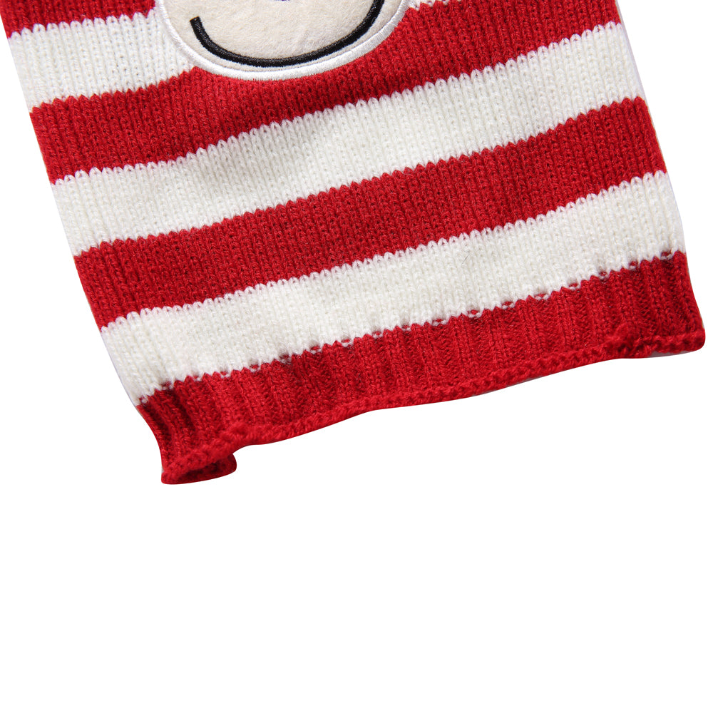 Rudolph's Stripes Dog Sweater