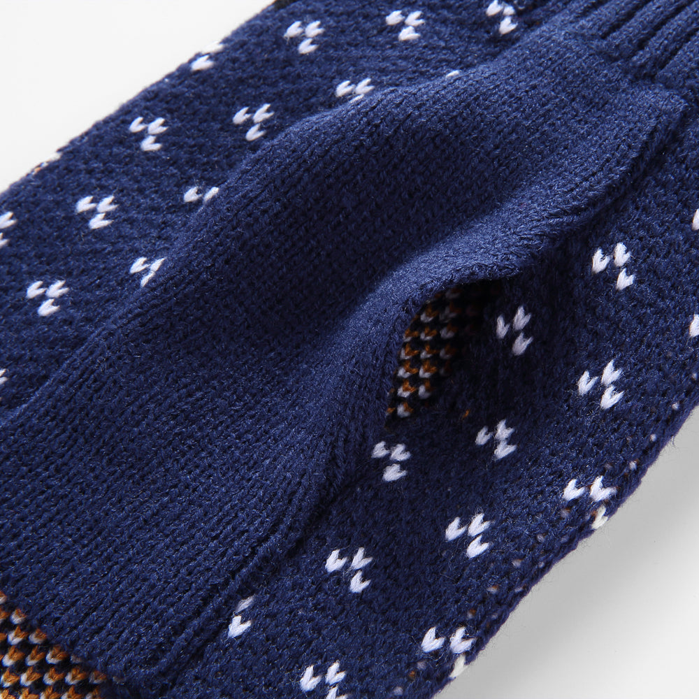 The Rudolph's Cozy Dog Sweater