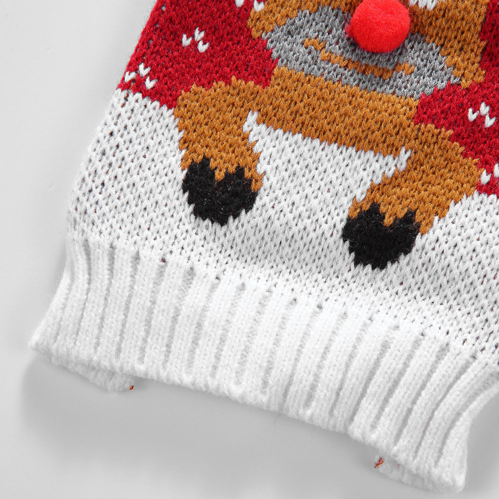 The Rudolph's Cozy Dog Sweater