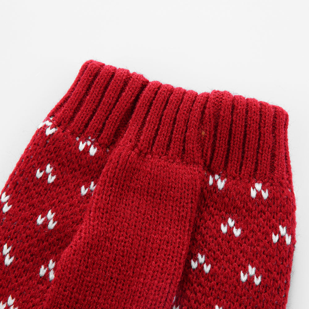 The Rudolph's Cozy Dog Sweater