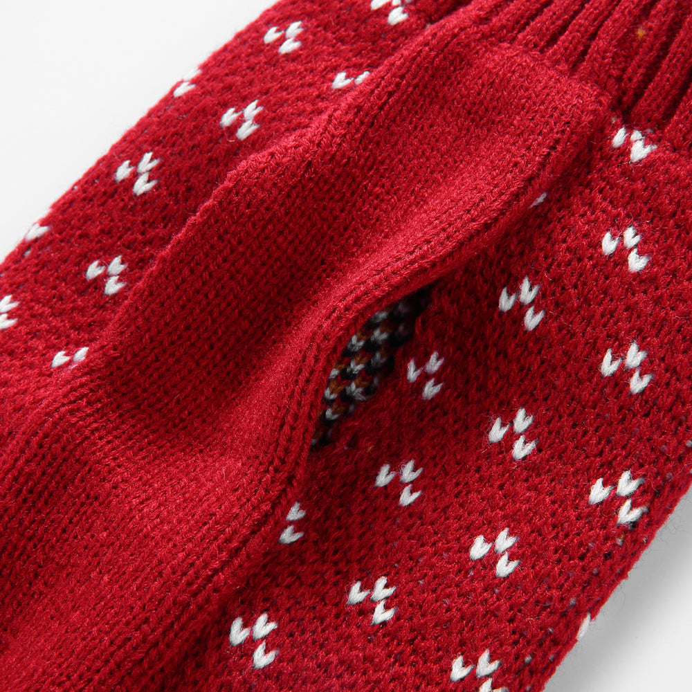 The Rudolph's Cozy Dog Sweater