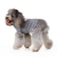 Penguin Dog Sweater